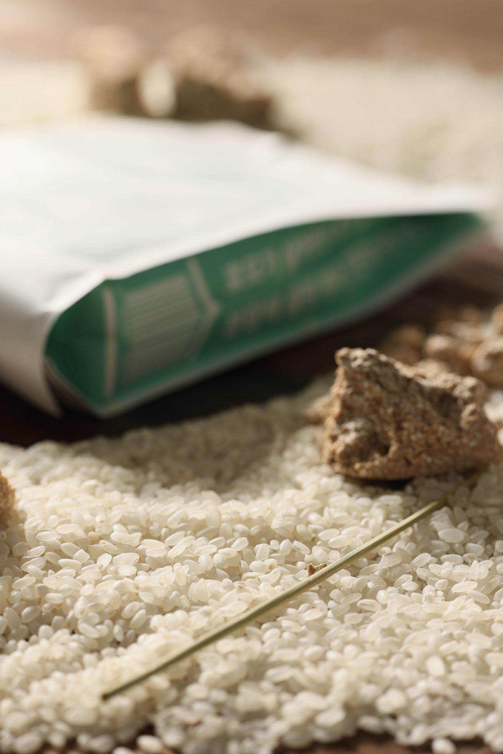 쌀 위의 누룩